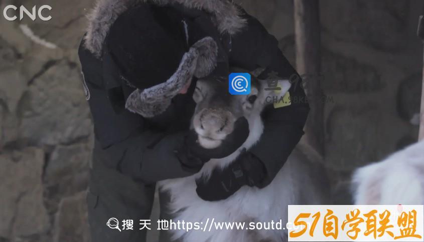 纪录片四季中国