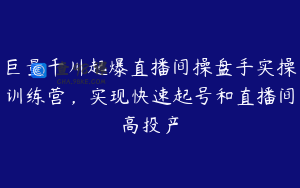 巨量千川起爆直播间操盘手实操训练营，实现快速起号和直播间高投产