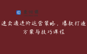 速卖通进阶运营策略，爆款打造方案与技巧课程