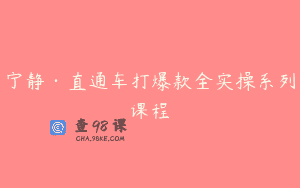 宁静·直通车打爆款全实操系列课程