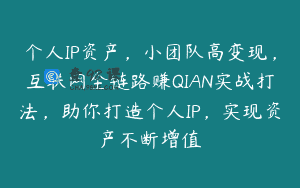 个人IP资产，小团队高变现，互联网全链路赚QIAN实战打法，助你打造个人IP，实现资产不断增值