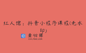 红人馆:抖音小程序课程(无水印)