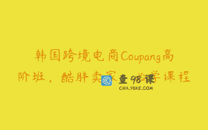 韩国跨境电商Coupang高阶班，酷胖卖家，必学课程