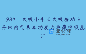 984_太极小牛《太极桩功》丹田内气基本功发力典藏呼吸总汇