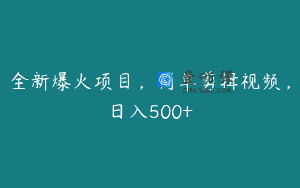 全新爆火项目，简单剪辑视频，日入500+