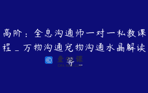 高阶：全息沟通师一对一私教课程_万物沟通宠物沟通水晶解读等_