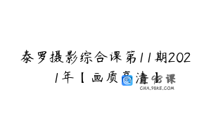 泰罗摄影综合课第11期2021年【画质高清】
