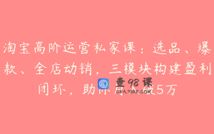 淘宝高阶运营私家课：选品、爆款、全店动销，三模块构建盈利闭环，助你月入破5万