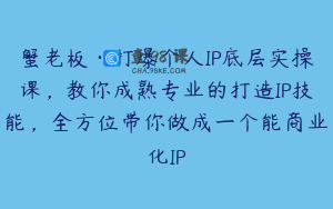蟹老板·打爆个人IP底层实操课，教你成熟专业的打造IP技能，全方位带你做成一个能商业化IP