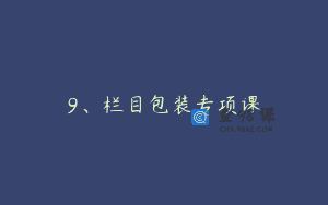 9、栏目包装专项课