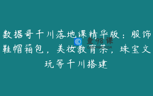 数据哥千川落地课精华版：服饰鞋帽箱包，美妆教育茶，珠宝文玩等千川搭建