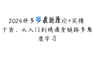 2024拼多多最新理论+实操干货，从入门到精通全链路多角度学习