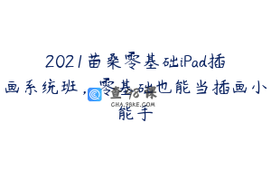 2021苗桑零基础iPad插画系统班，零基础也能当插画小能手