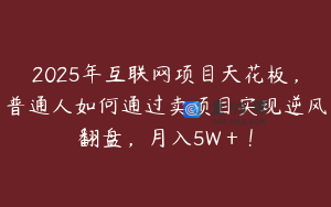 2025年互联网项目天花板，普通人如何通过卖项目实现逆风翻盘，月入5W＋！