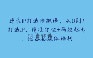 逆袭IP打造陪跑课，从0到1打造IP，精准定位+高效起号，抢占自媒体福利