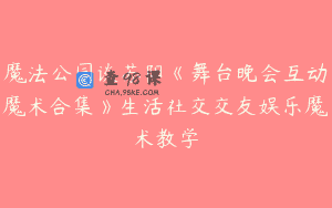 魔法公园谈苏阳《舞台晚会互动魔术合集》生活社交交友娱乐魔术教学
