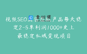 视频SEO出售虚拟产品每天稳定2-5单利润1000+史上最稳定私域变现项目