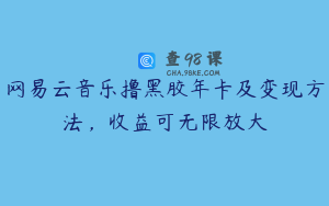 网易云音乐撸黑胶年卡及变现方法，收益可无限放大