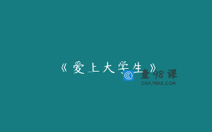 《爱上大学生》