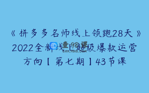 《拼多多名师线上领跑28天》2022全新线上超级爆款运营方向【第七期】43节课