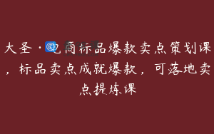 大圣·电商标品爆款卖点策划课，标品卖点成就爆款，可落地卖点提炼课