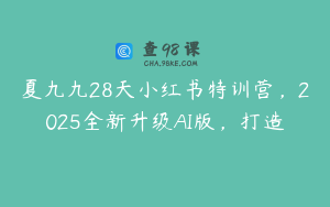 夏九九28天小红书特训营，2025全新升级AI版，打造