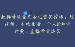 数据哥流量综合运营实操课：短视频、本地生活、个人IP知识付费、直播带货运营