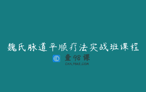 魏氏脉道平顺疗法实战班课程