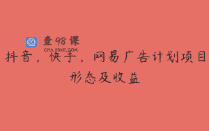 抖音，快手，网易广告计划项目形态及收益