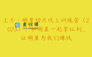 王子·明星切片线上训练营（2023），和明星一起拿红利，让明星为我们赚钱