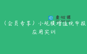 （会员专享）小规模增值税申报应用实训