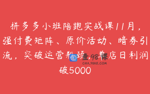 拼多多小班陪跑实战课11月，强付费矩阵、原价活动、暗券引流，突破运营瓶颈，单店日利润破5000