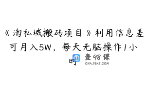 《淘私域搬砖项目》利用信息差可月入5W，每天无脑操作1小时