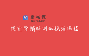 视觉营销特训班视频课程