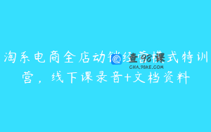 淘系电商全店动销经营模式特训营,线下课录音+文档资料