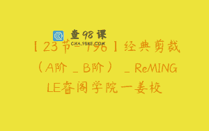 【23节-￥196】经典剪裁（A阶_B阶）_ReMINGLE睿阁学院一姜校
