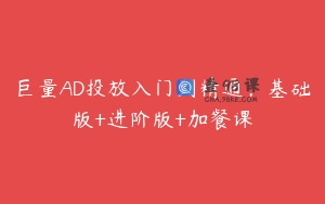 巨量AD投放入门到精通，基础版+进阶版+加餐课