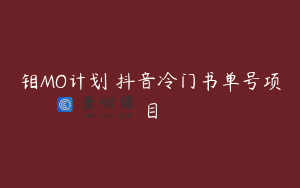 钼MO计划 抖音冷门书单号项目