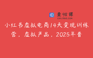 小红书虚拟电商14天变现训练营，虚拟产品，2025年普