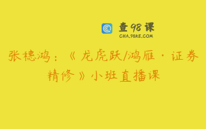 张穗鸿：《龙虎跃/鸿雁·证券精修》小班直播课