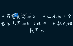 《写意花鸟画》_《山水画》全套系统国画组合课程_孙乾夫妇教国画