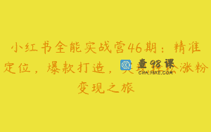 小红书全能实战营46期：精准定位，爆款打造，实现轻松涨粉变现之旅