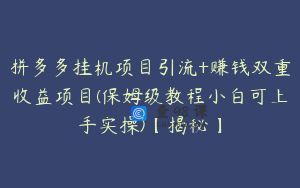 拼多多挂机项目引流+赚钱双重收益项目(保姆级教程小白可上手实操)【揭秘】