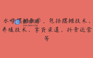 水母摆摊教学，包括摆摊技术、养殖技术、拿货渠道、抖音运营等