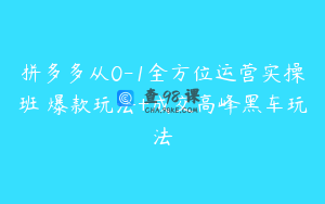 拼多多从0-1全方位运营实操班 爆款玩法+成交高峰黑车玩法
