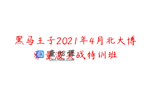 黑马王子2021年4月北大博雅量波实战特训班