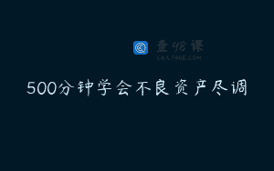 500分钟学会不良资产尽调