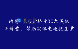 诸葛-老板IP起号30天实战训练营，帮助实体老板把生意