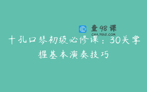 十孔口琴初级必修课：30关掌握基本演奏技巧