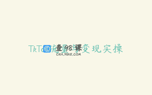 TkTok流量与变现实操